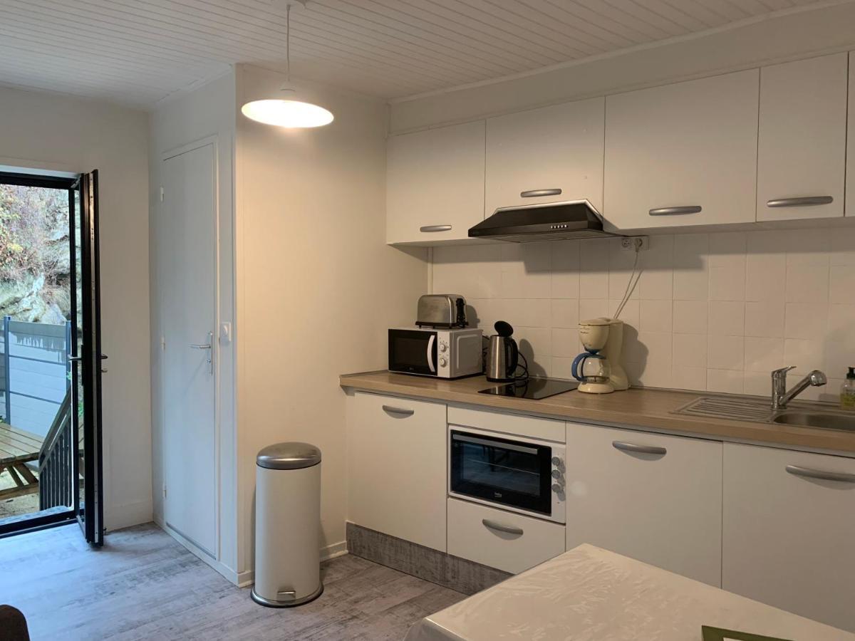 4 Personnes, 1 Chambre, Terrasse, Wifi, Proche Du Centre Apartment La Bourboule