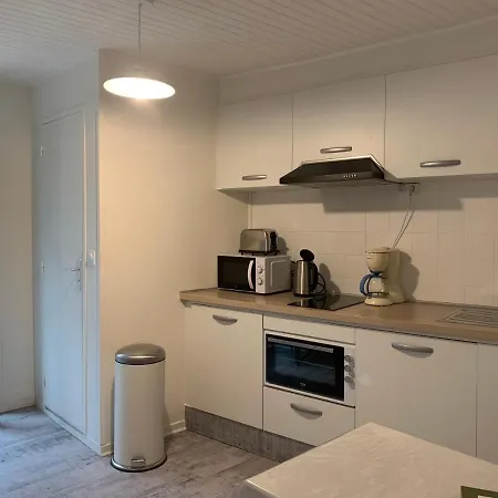 Appartement 4 Personnes, 1 Chambre, Terrasse, Wifi, Proche Du Centre La Bourboule Exterior photo